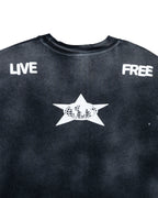 Distressed Star SS Tee