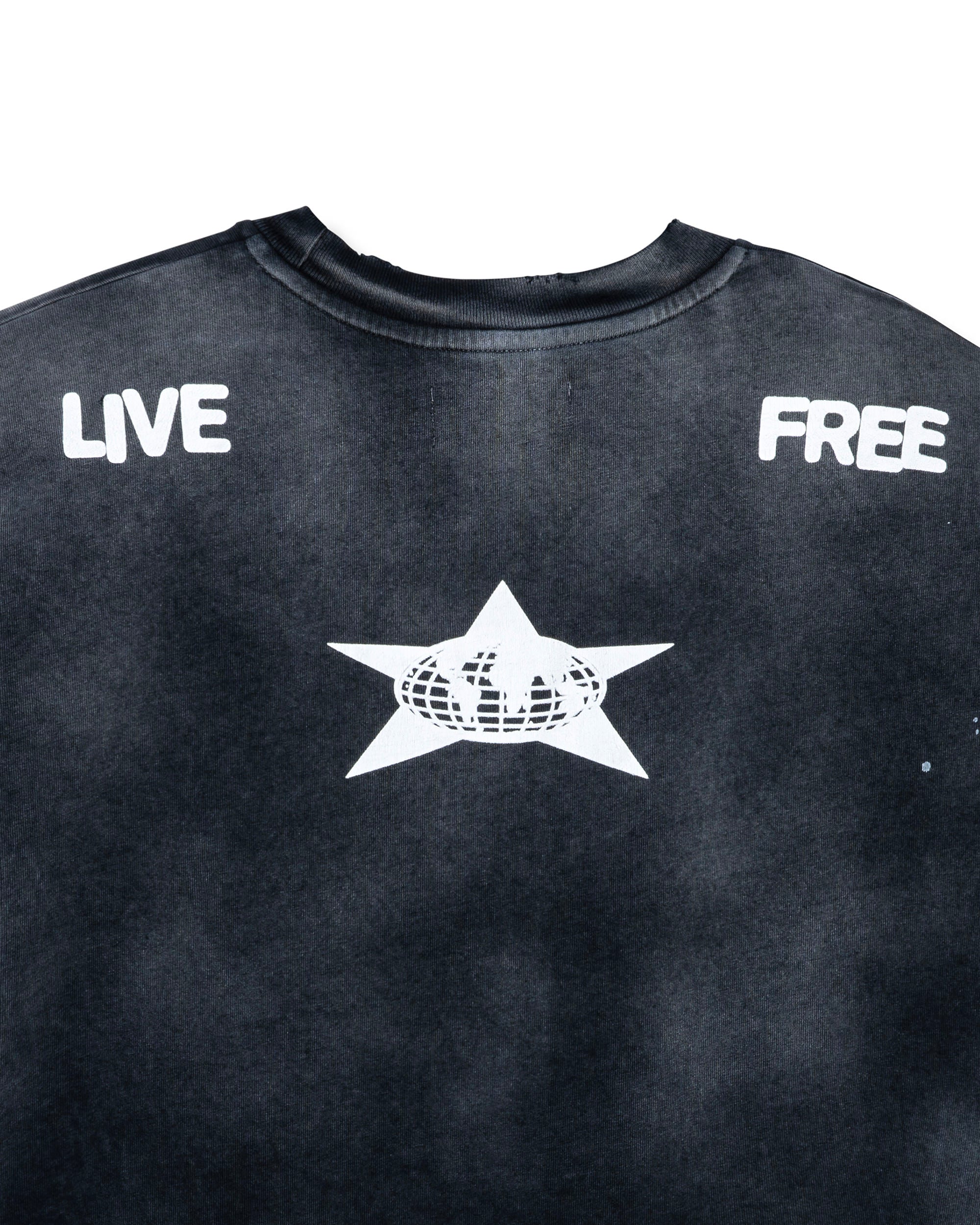Distressed Star SS Tee